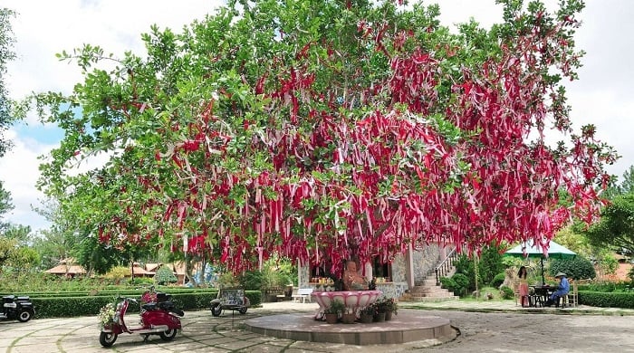 đồi Mộng Mơ Đà Lạt