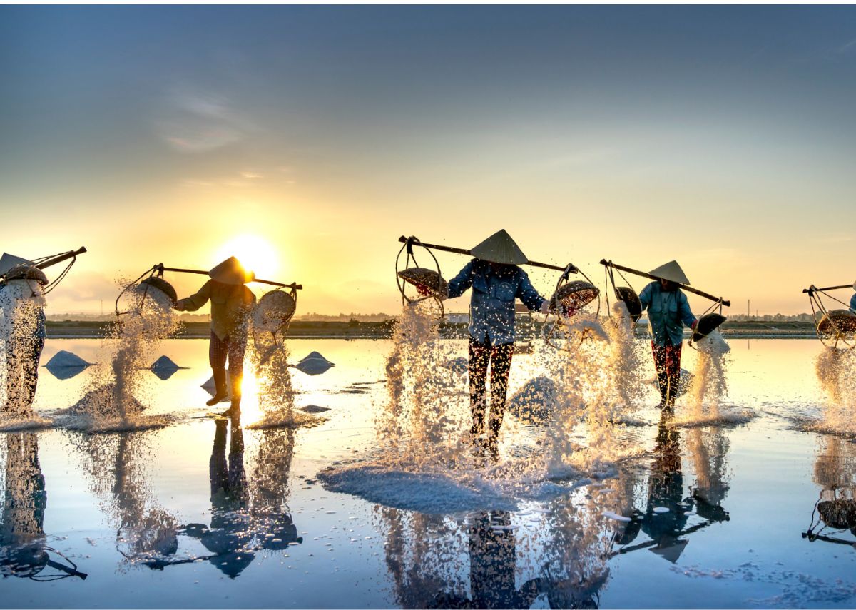 Đồng muối Sa Huỳnh tuyệt đẹp