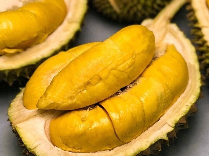 Khanh Son durian – 선물로 나트랑 명물