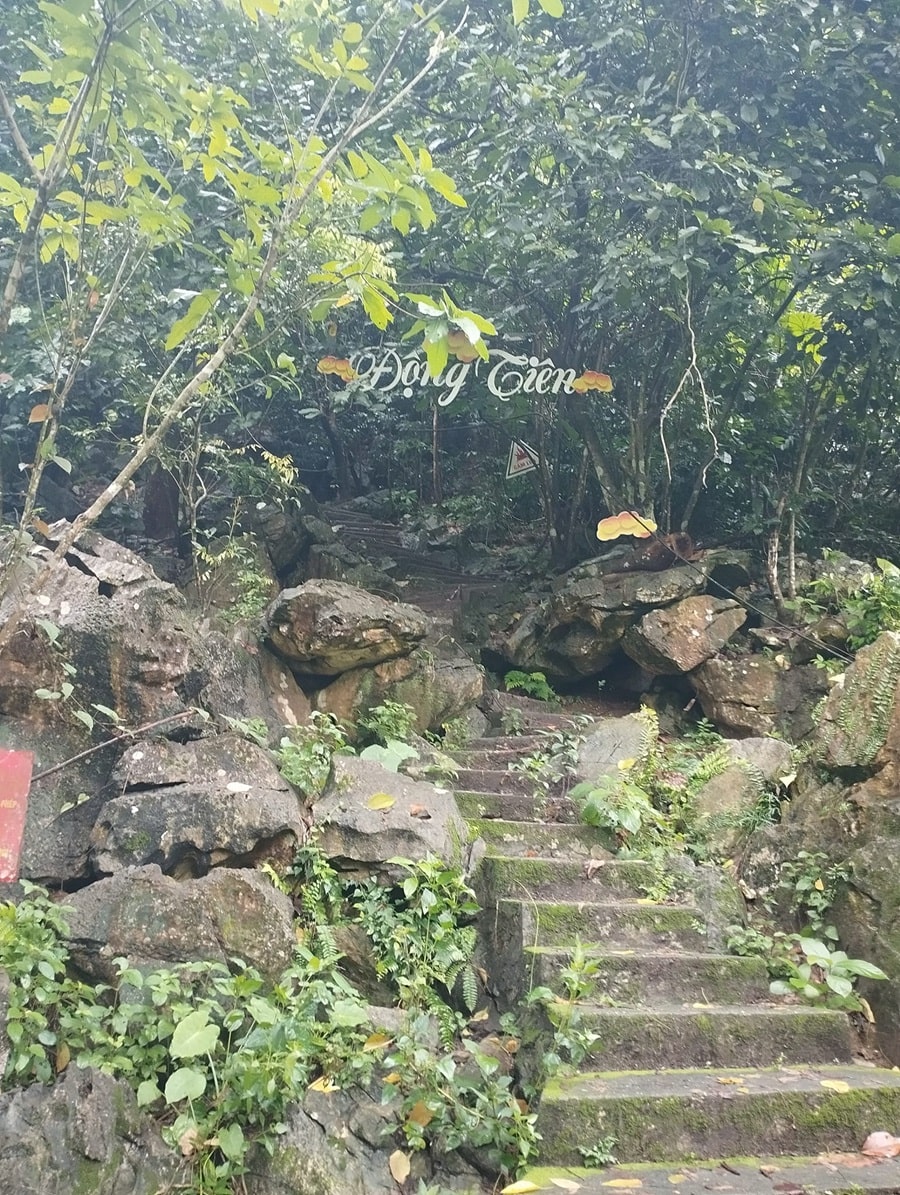 Đường lên động Tiên