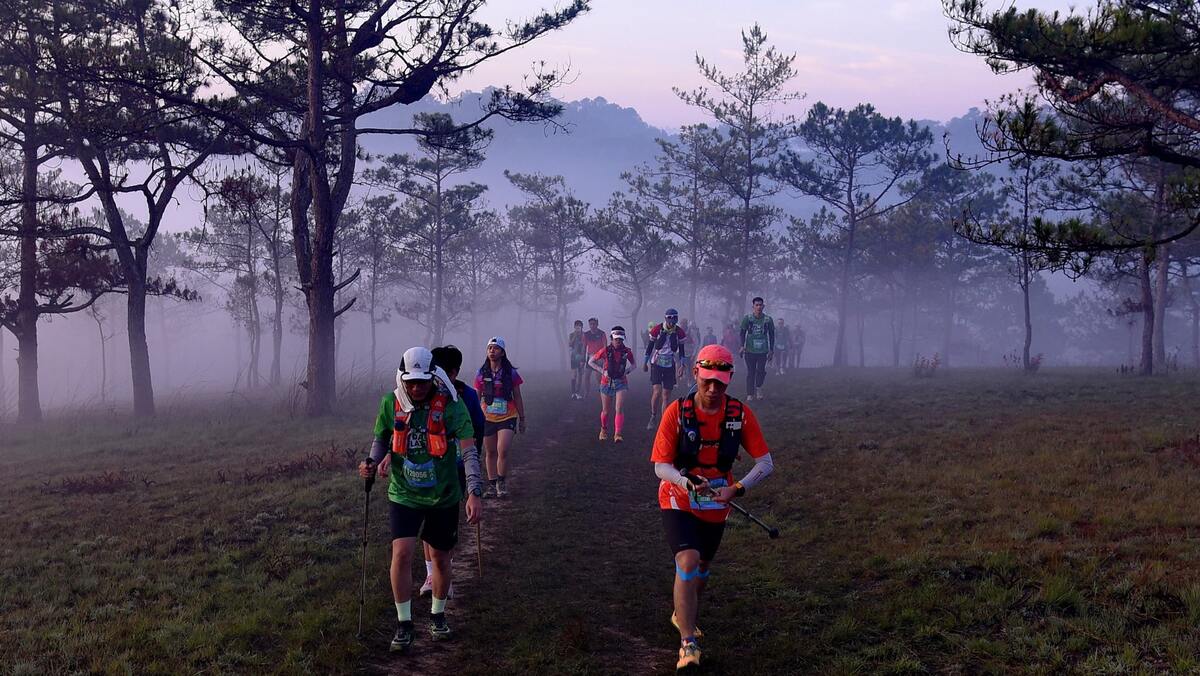 giải chạy trail