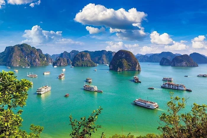 Ha Long Bay 