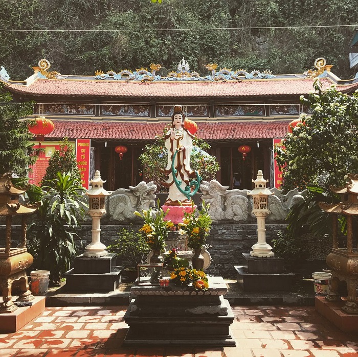 Hạ Long có gì chơi