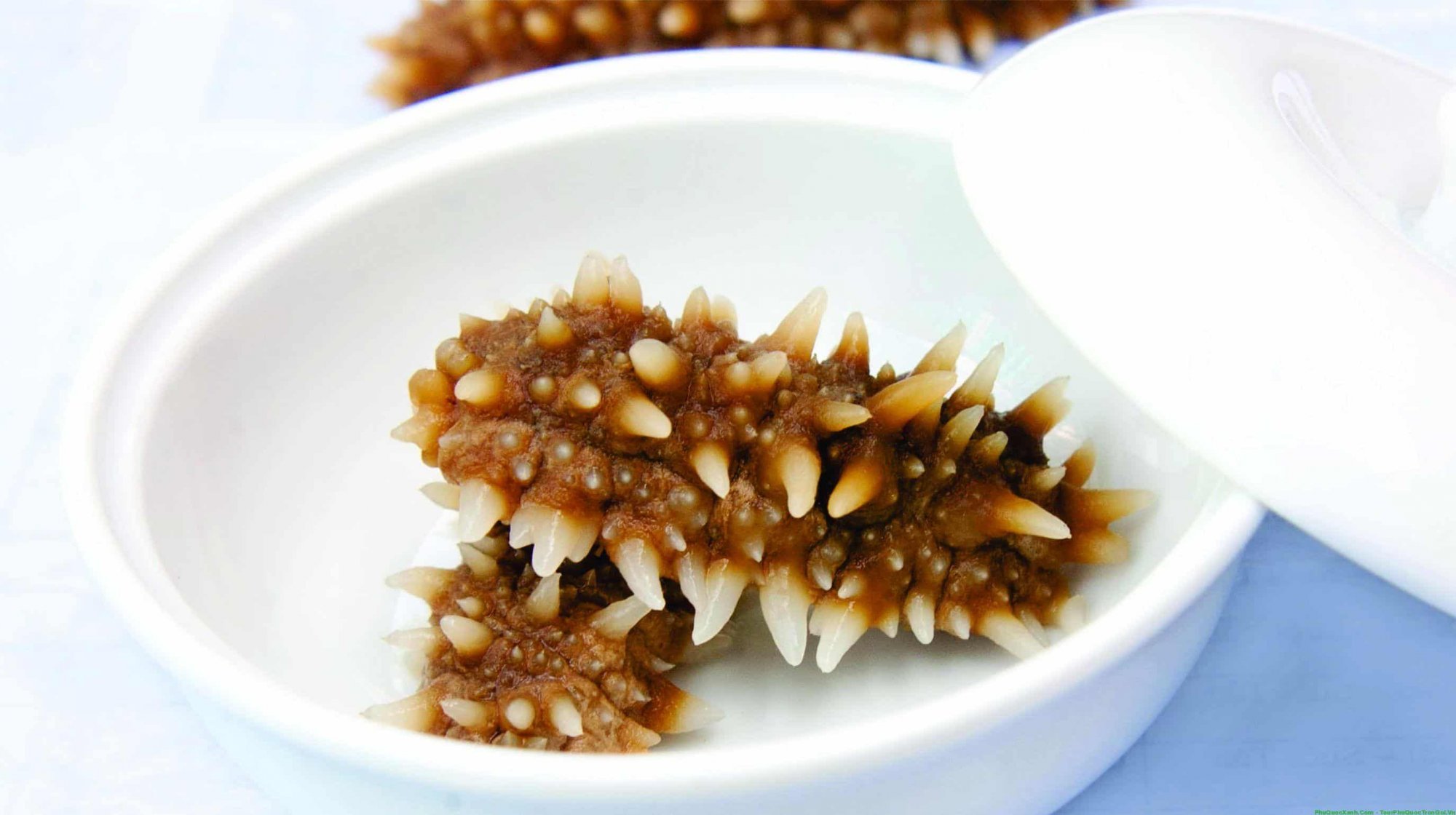 hải sâm Phú Quý