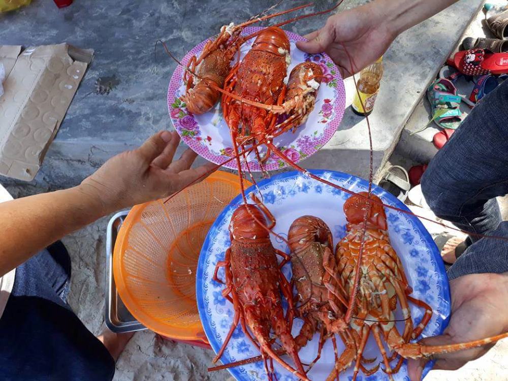 Hải sản biển Vịnh Hòa