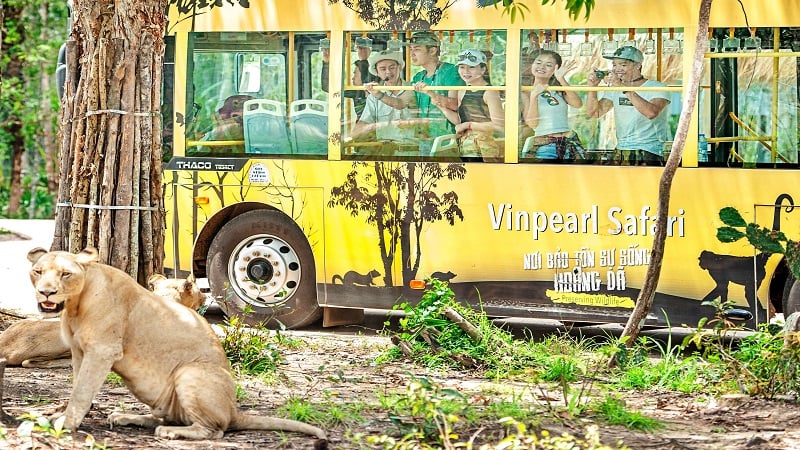 Giá vé Vinpearl Safari Phú Quốc và ưu ᵭãi hấp dẫn [MỚI NHẤT 2022]
