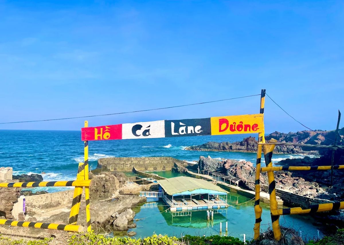 Hồ cá Làng Dương Phú Quý