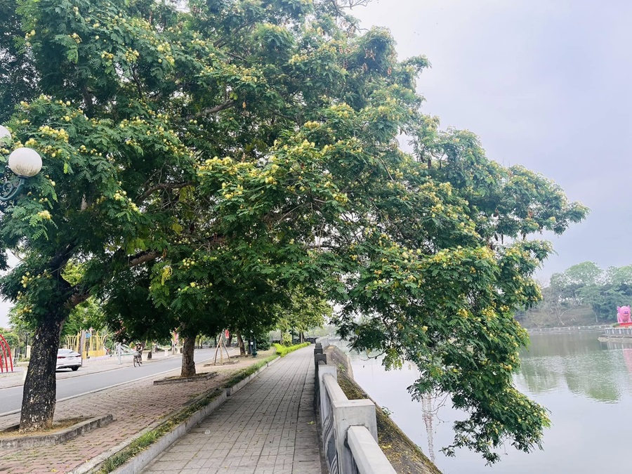 Hồ Tân Quang Tuyên Quang