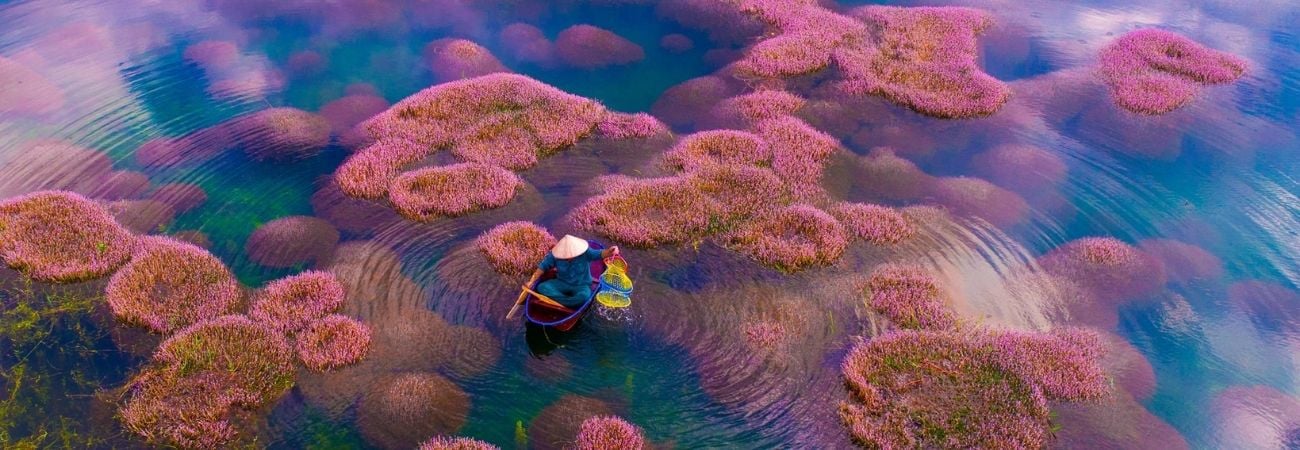Hồ tảo hồng Bảo Lộc