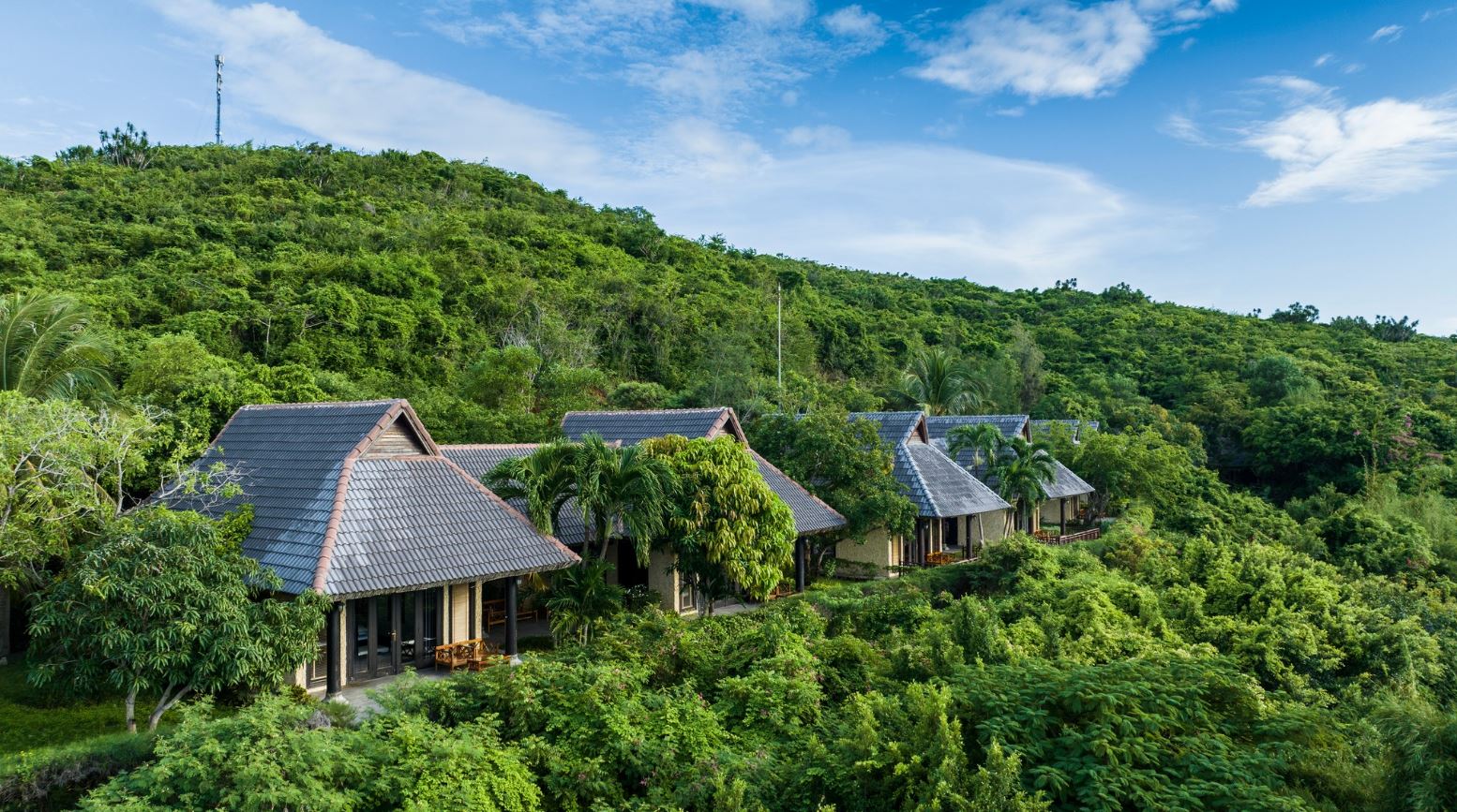 Những căn bungalow sang trọng nằm ẩn mình giữa rừng cây