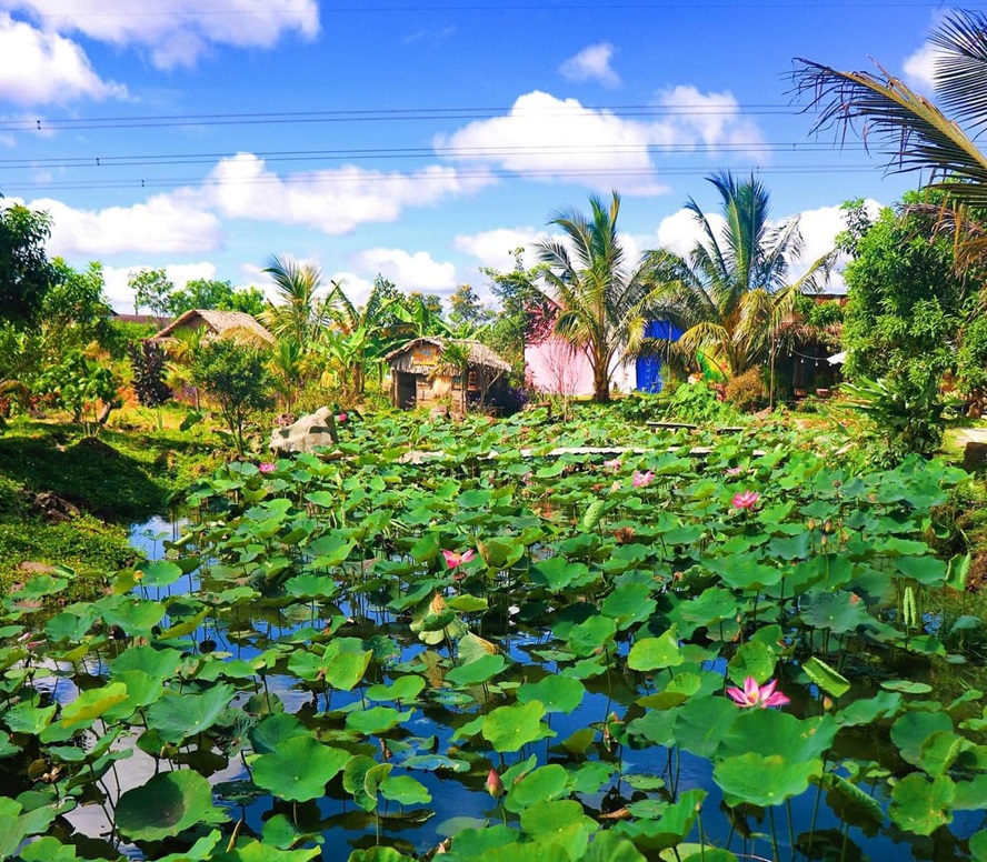không gian thơ mộng tại Hồng Vượng Farm