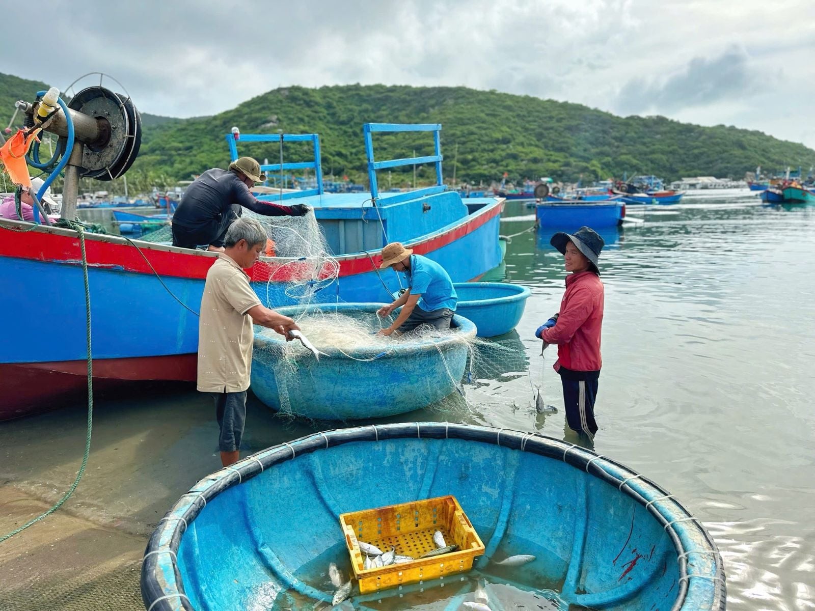 Khung cảnh thường ngày ở làng chài Vĩnh Hy