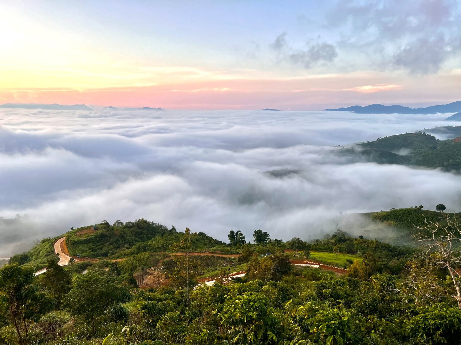 kinh nghiệm săn mây Bảo Lộc
