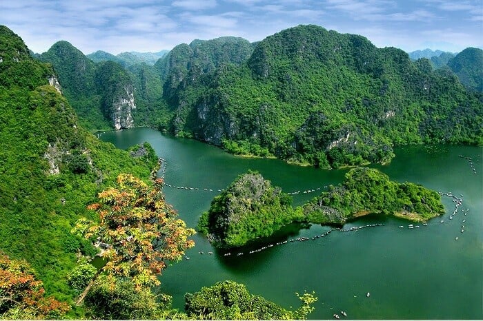 Kong Skull Island Vietnam