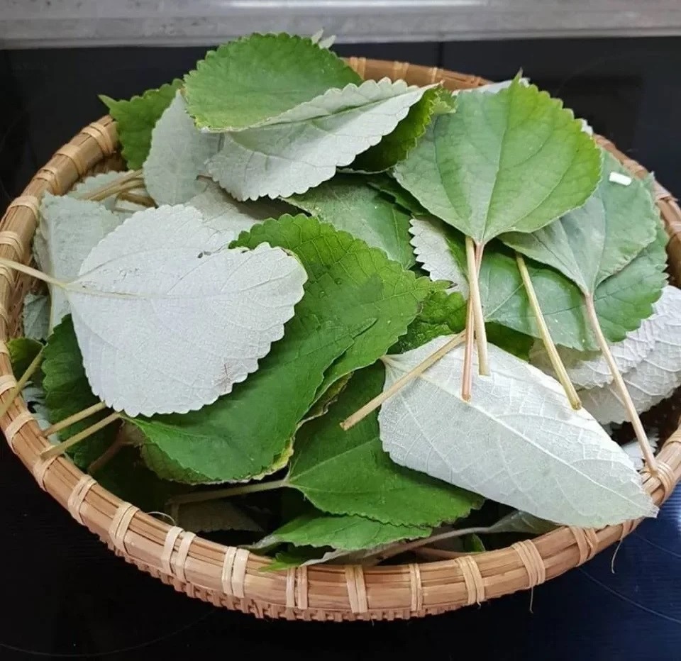 Lá gai làm bánh