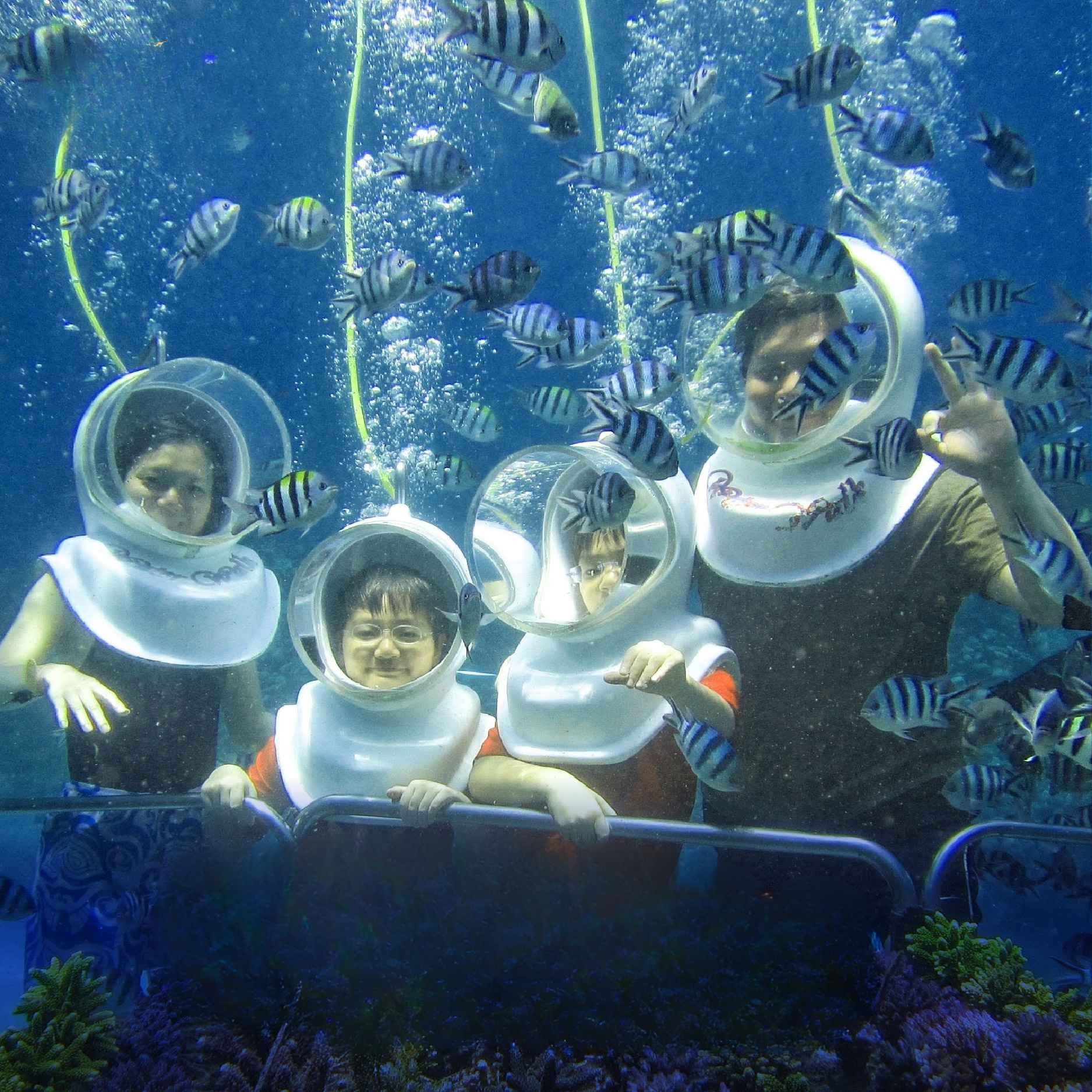 Experience scuba diving at Ocean Home