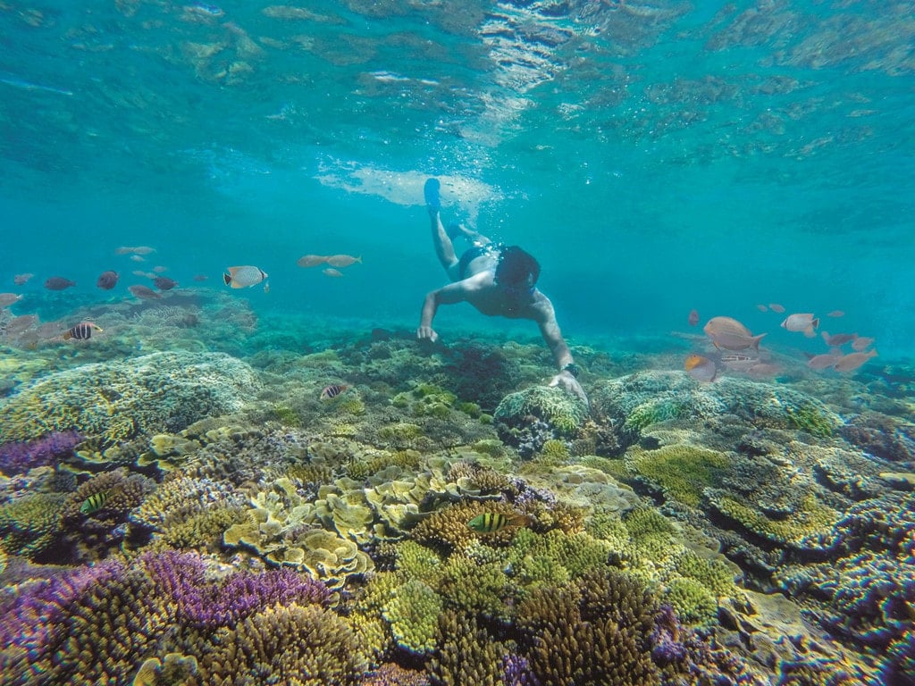 Lặn ngắm san hô Bãi Dứa Quy Nhơn