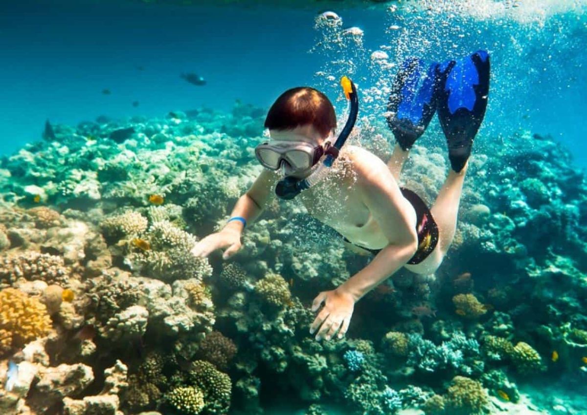 Lặn ngắm san hô ở Hang Câu