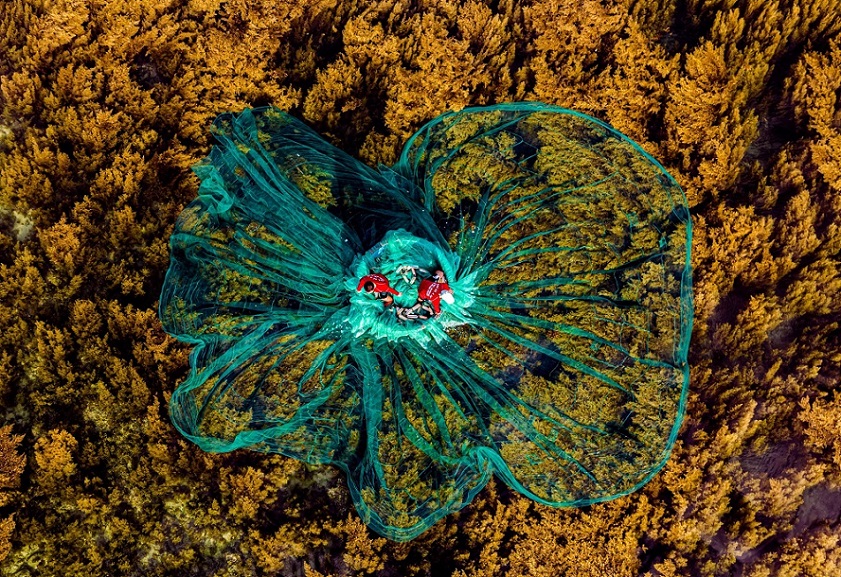 làng chài Nhơn Hải mùa rong mơ