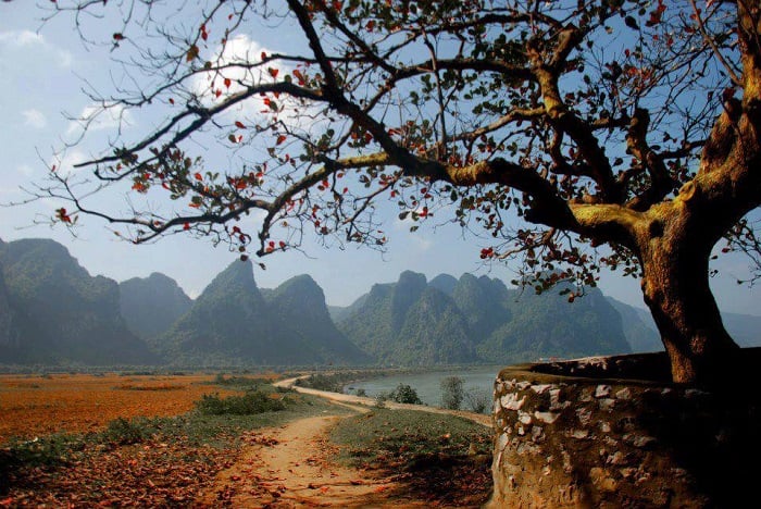 làng Lệ Sơn