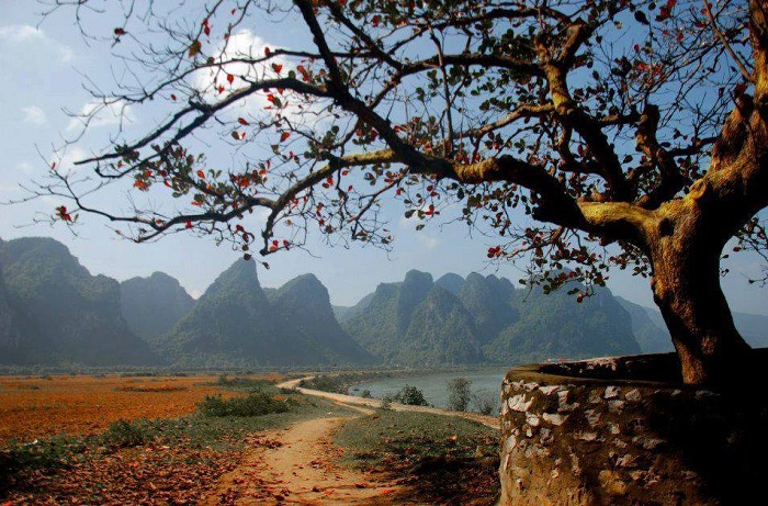 làng Tân An