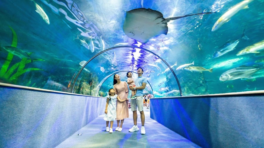 Thủy cung Vinpearl Aquarium 