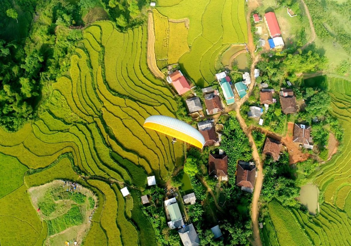Lễ hội mùa vàng Hồng Thái