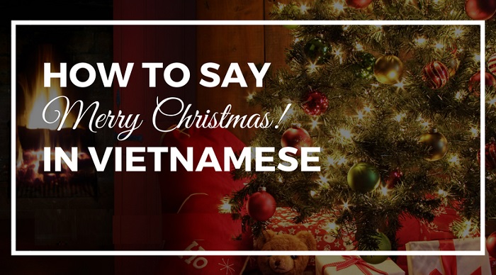 Merry Christmas in Vietnamese