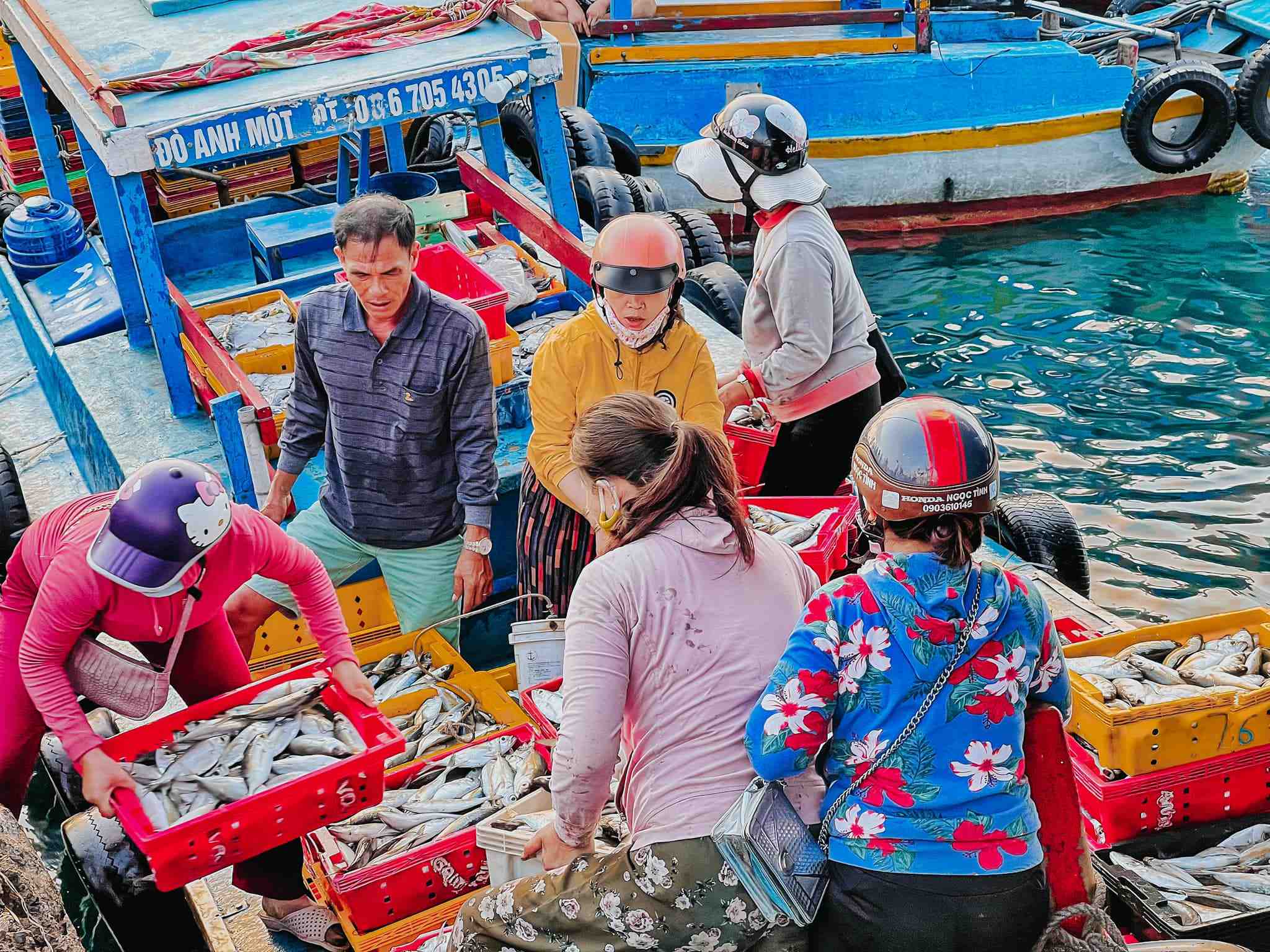 Mua hải sản tươi tại cảng vào buổi sáng