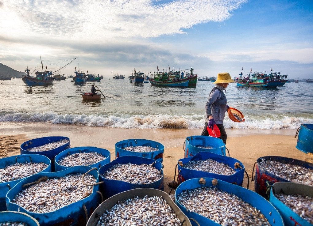 Ngư dân làng chài Hải Minh