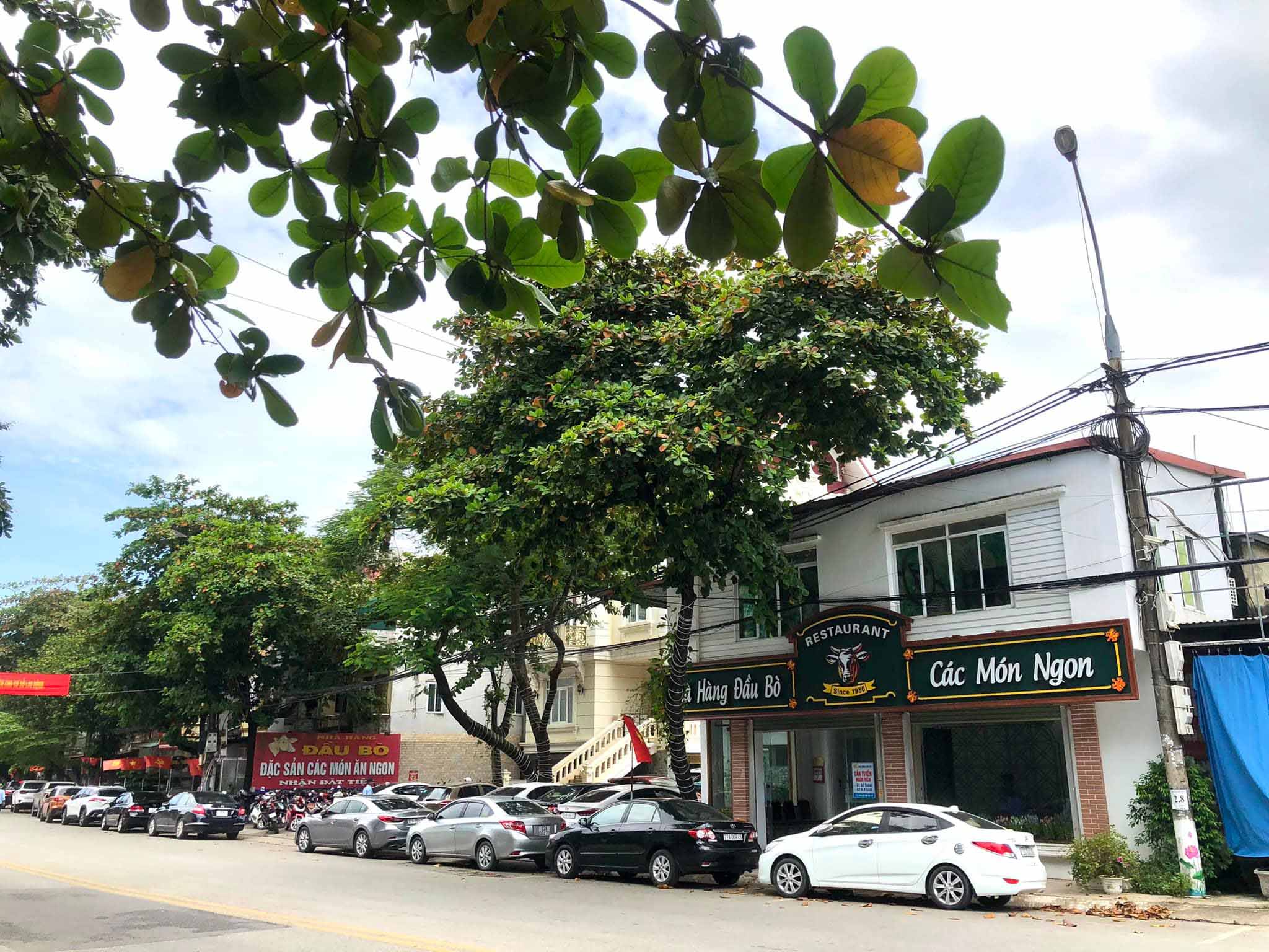 Nhà hàng Đầu Bò Tuyên Quang