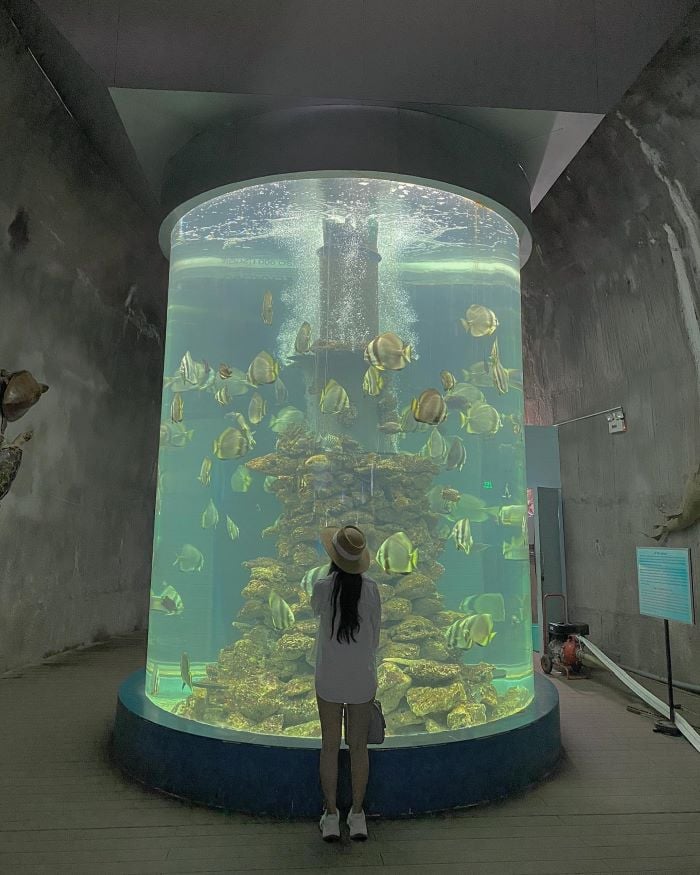 National Oceanographic Museum: TOP 10 BEST museums in Vietnam