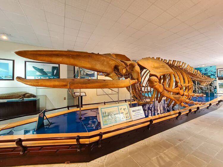 National Oceanographic Museum