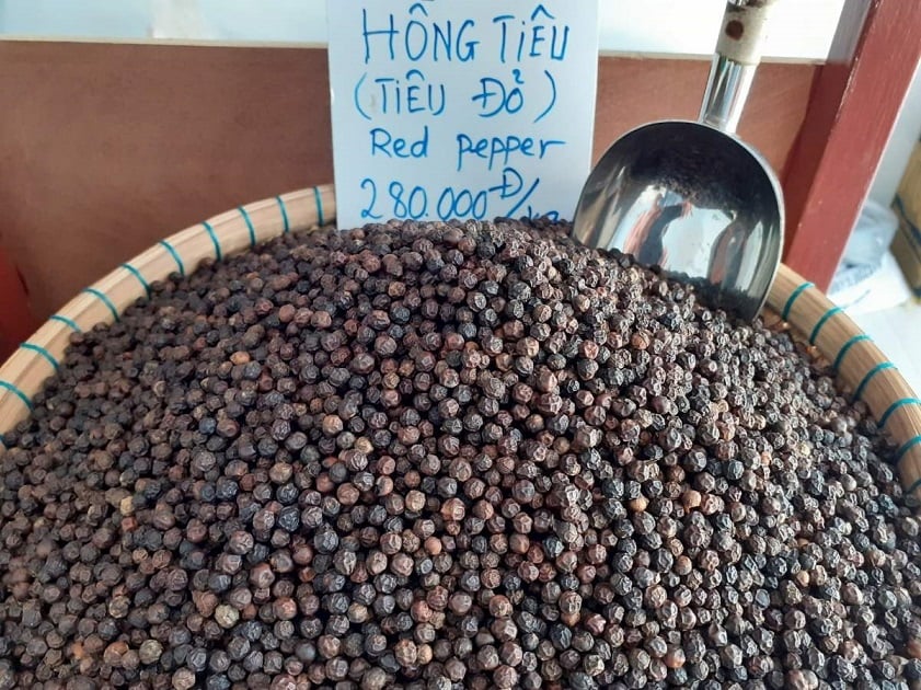 Phu Quoc pepper farms