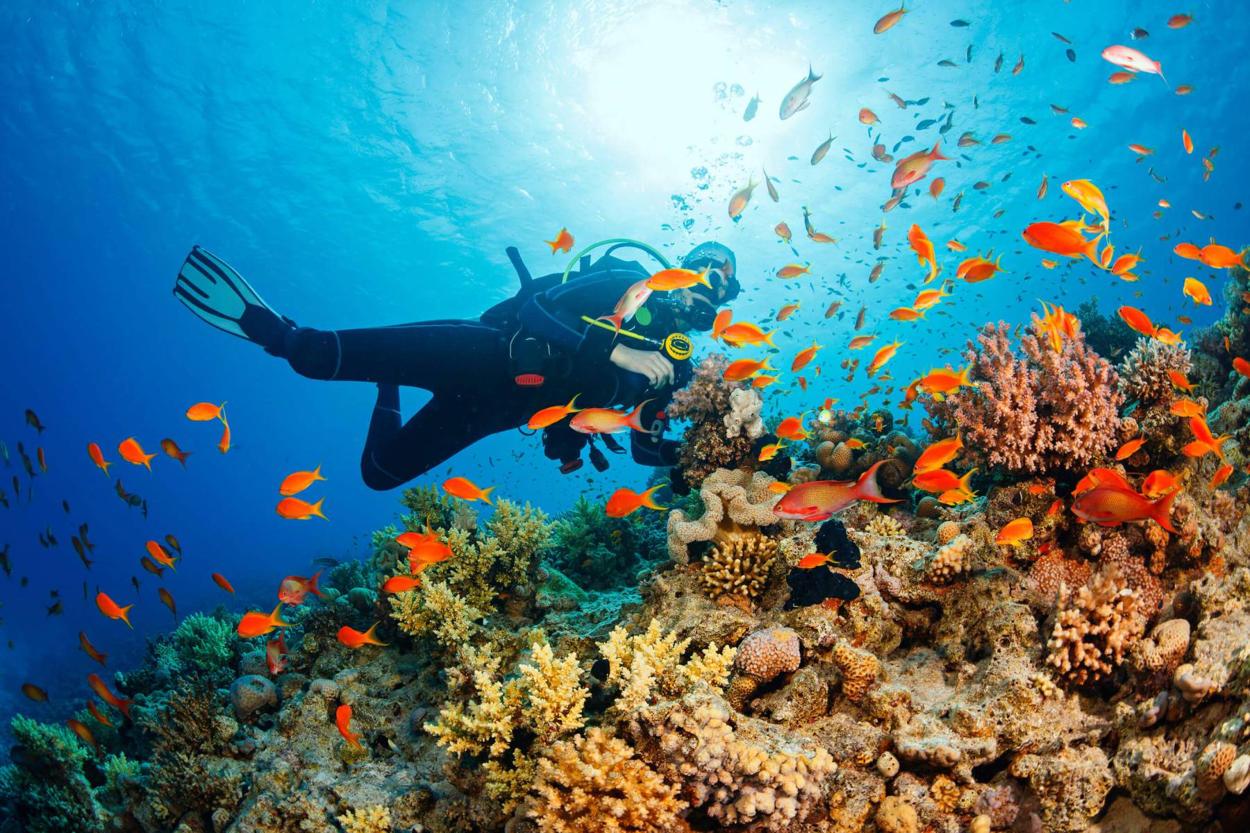 snorkeling in Phu Quoc Island