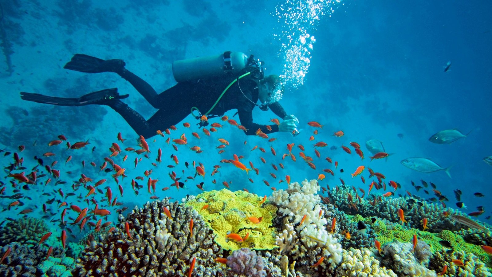 phu quoc solo travel