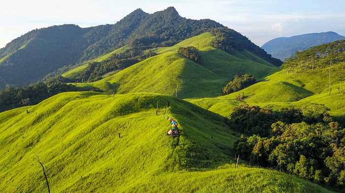 Phuoc Binh National Park