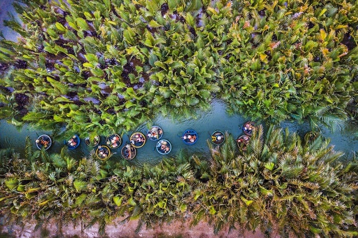 Tham quan rừng dừa Bảy Mẫu bằng thuyền thúng 