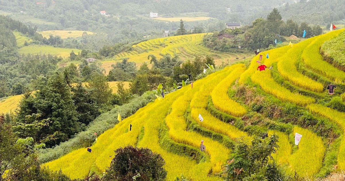 Ruộng bậc thang Bình Liêu Quảng Ninh