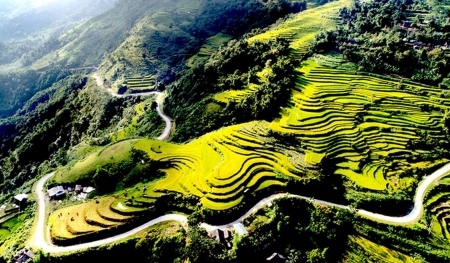 Ruộng bậc thang Hồng Thái