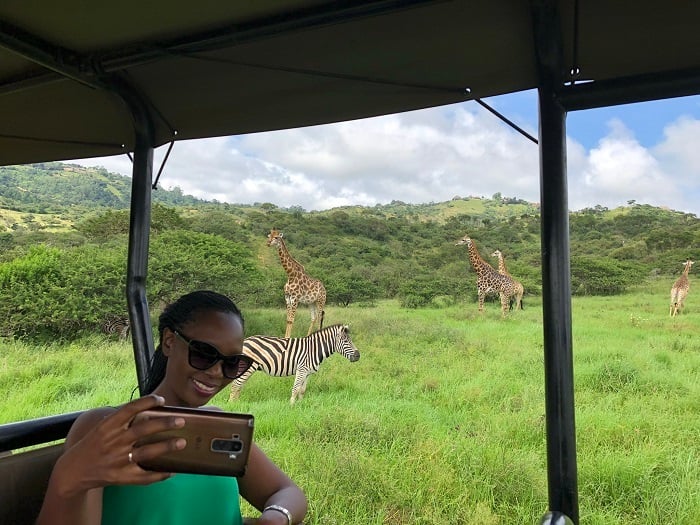 Safari parks