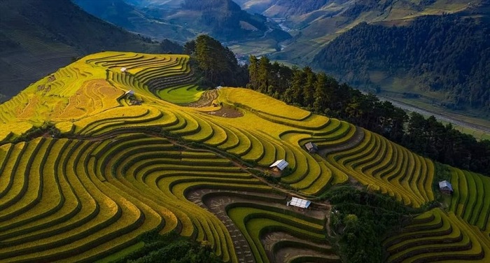 Sapa to Mu Cang Chai