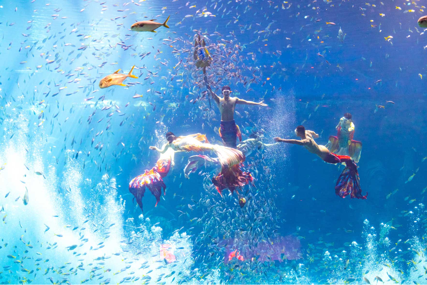show nàng tiên cá thủy cung Vinpearl Phú Quốc