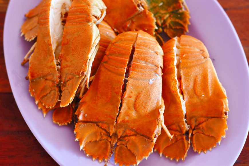 Slipper lobsters in Phu Quoc