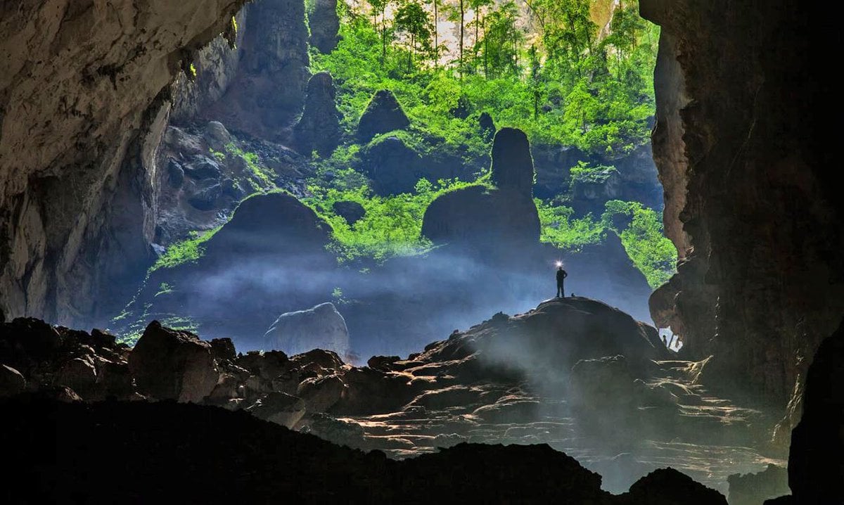 Son Doong Cave animals