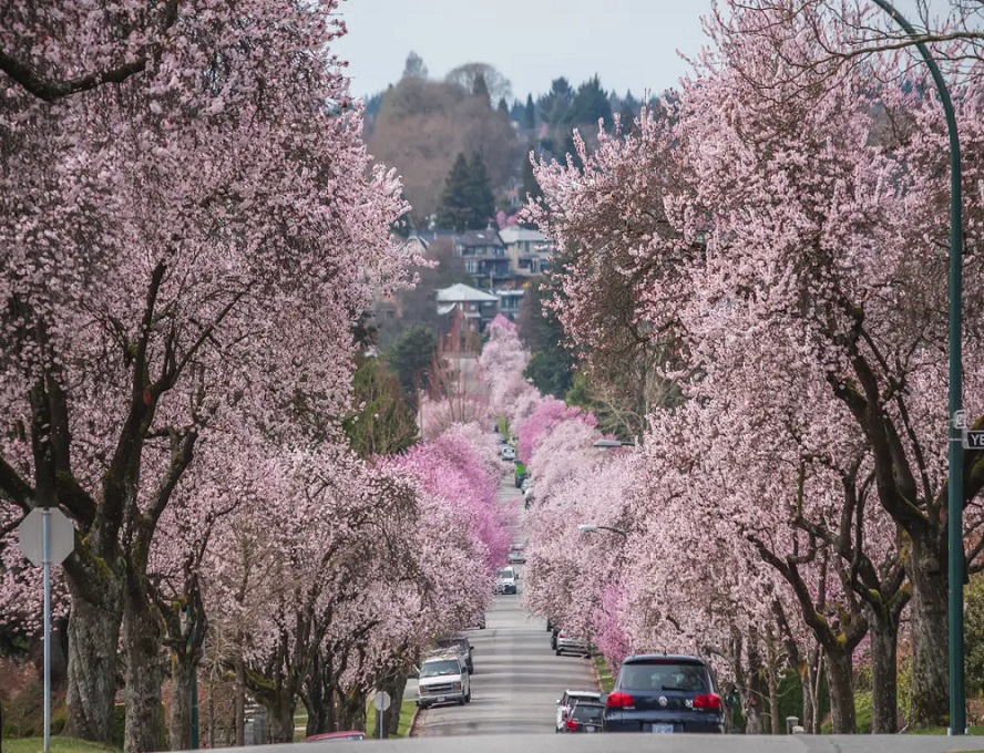 spring in Vancouver