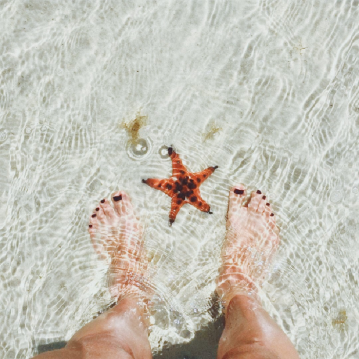 Starfish Beach Phu Quoc