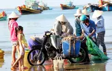 chợ hải sản Đà Nẵng