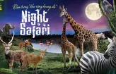 Night Safari Phú Quốc