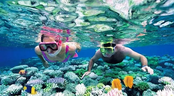 du lịch Vinpearl Nha Trang 1 ngày